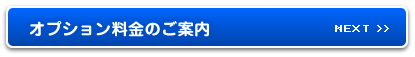 NEXT オプション料金のご案内