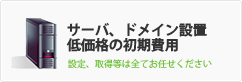 サーバ、ドメイン設置低価格の初期費用 | 設定、取得等は全てお任せください