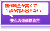 制作料金が高くて１歩が踏み出せないという方でも安心の低価格設定