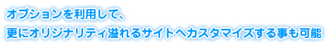 オプションを利用して、更にオリジナリティ溢れるサイトへカスタマイズする事も可能